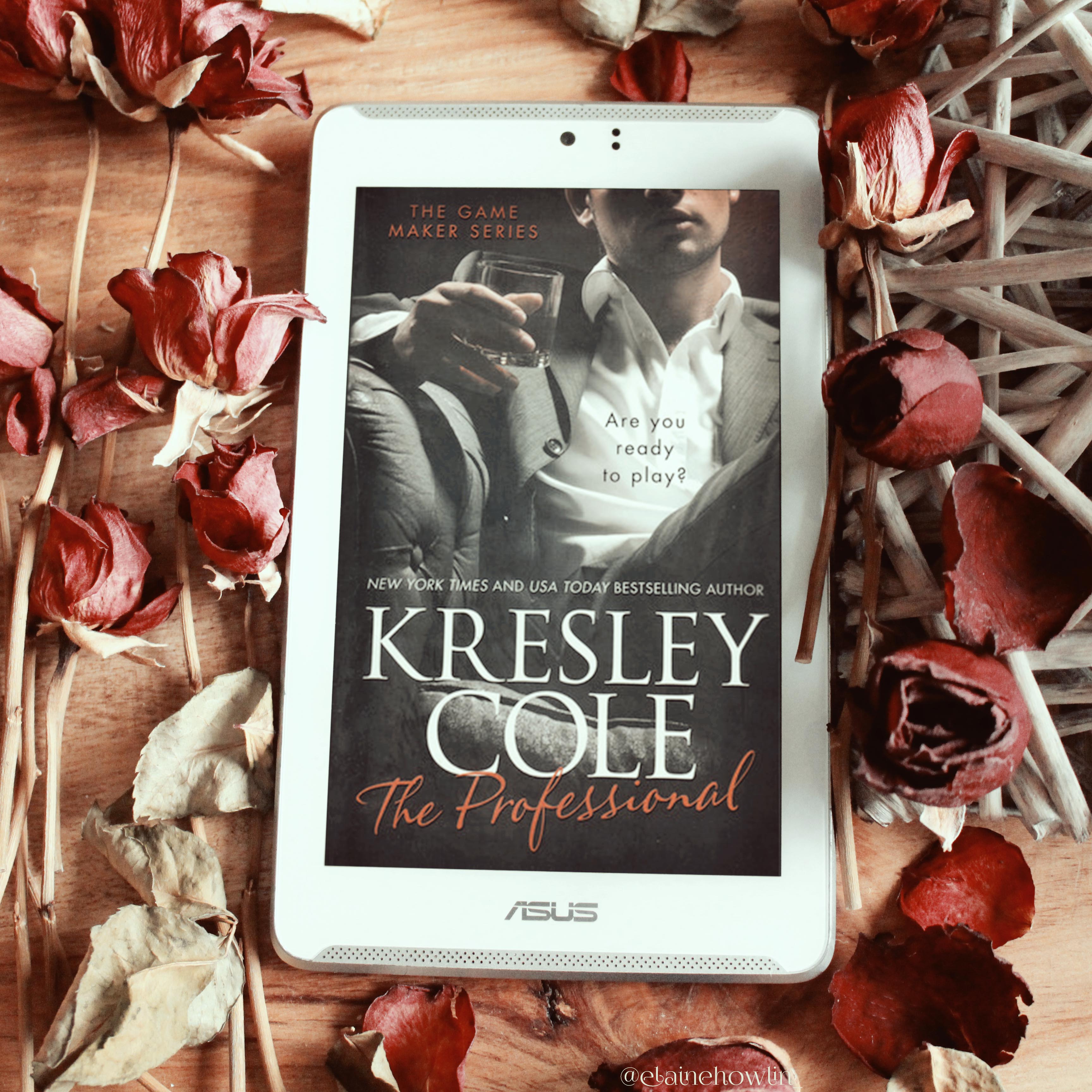 The Professional by Kresley Cole Elaine Howlin Literary Blog